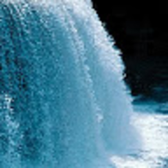 Meet your Posher, Belinda - Picture 1 of 1